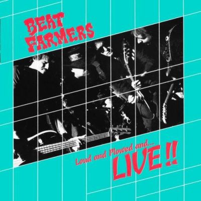 Loud and plowed and live