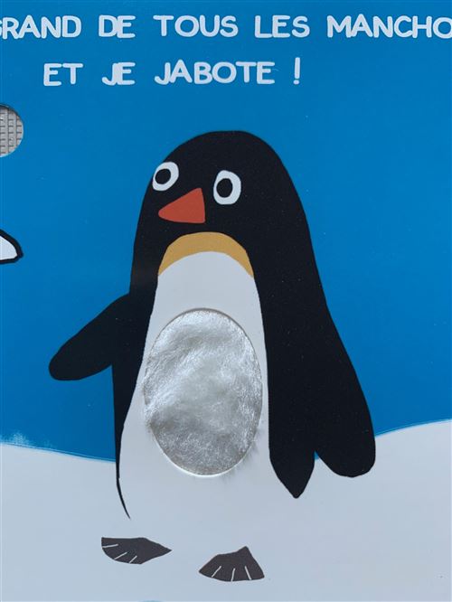 Animaux Du Froid Sonore Et A T Cartonne Elena Brusi Achat Livre Fnac