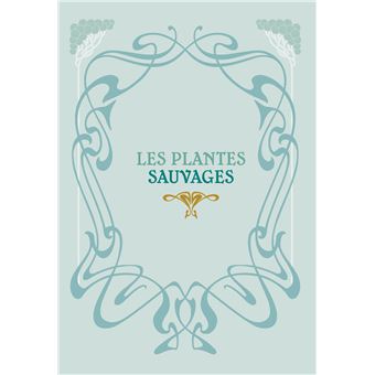 Jardin de sorcière. Plantes magiques, sortilèges, abondance et protection
