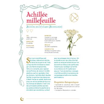 Jardin de sorcière. Plantes magiques, sortilèges, abondance et protection