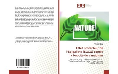 Effet protecteur de l'epigallate