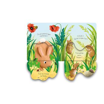 Le lapin - Mon petit livre à rabats