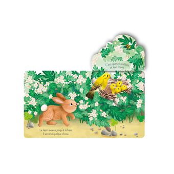 Le lapin - Mon petit livre à rabats