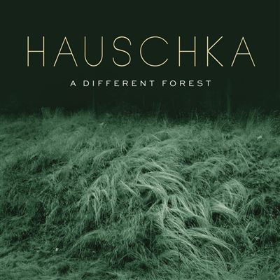 A different forest