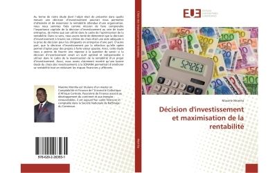 Décision d'investissement et maximisation de la rentabilité
