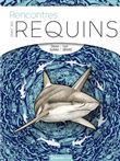 Rencontres avec les requins