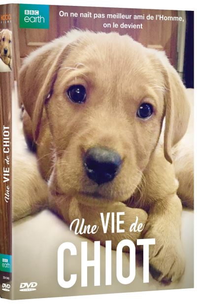 Une vie de chiot DVD