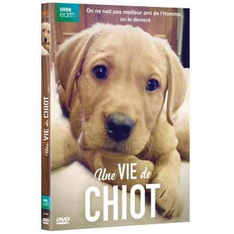 Une Vie De Chiot Dvd Jackie Garbutt Dvd Zone 2 Achat Prix Fnac