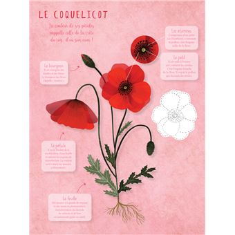 Mon memory des arbres et des fleurs à colorier