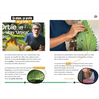 Pourquoi ça pique les orties ? et autres questions épineuses