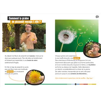 Pourquoi ça pique les orties ? et autres questions épineuses