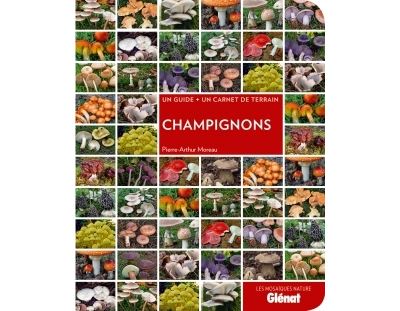 Champignons - Pierre-Arthur Moreau - broché