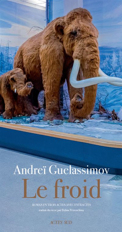 Le froid - Andrei Guelassimov - broché