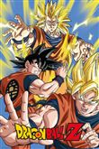 Poster Dragon Ball Z Goku