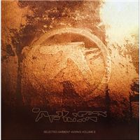 Selected Ambient Works Volume II