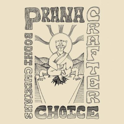 Bodhi Cheetahs Choice