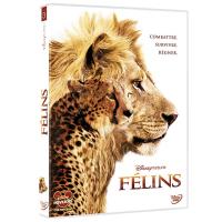 Félins