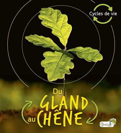 Du gland au chêne - Camilla De La Bedoyere - broché