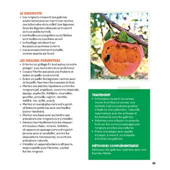 Stratégie anti-bestioles au jardin. Zéro difficulté - Zéro pesticide - Zéro dépense