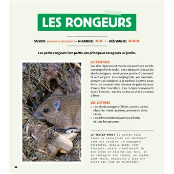 Stratégie anti-bestioles au jardin. Zéro difficulté - Zéro pesticide - Zéro dépense