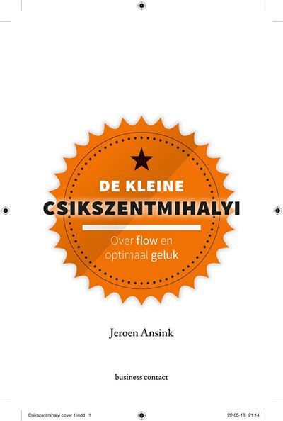De kleine Csikszentmihalyi