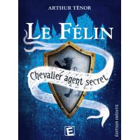 Péril au monastère, Les disparus de Montaguil, Le trésor des Templiers