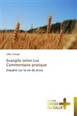 Evangile selon luc   commentaire pratique