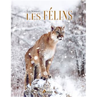Les félins