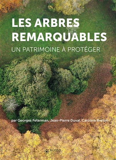 Les arbres remarquables un patrimoine a proteger