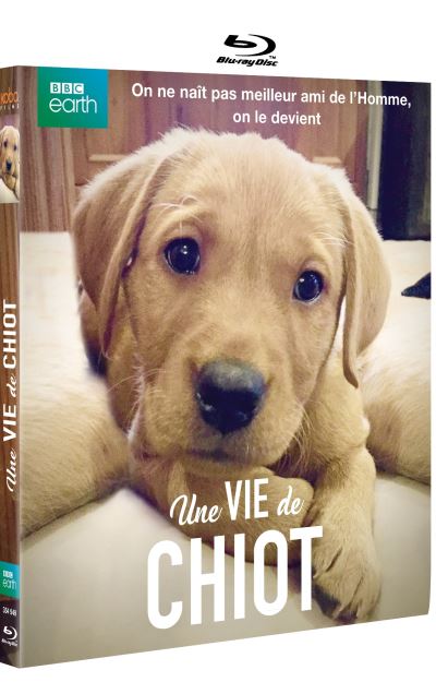 Une vie de chiot Blu-ray