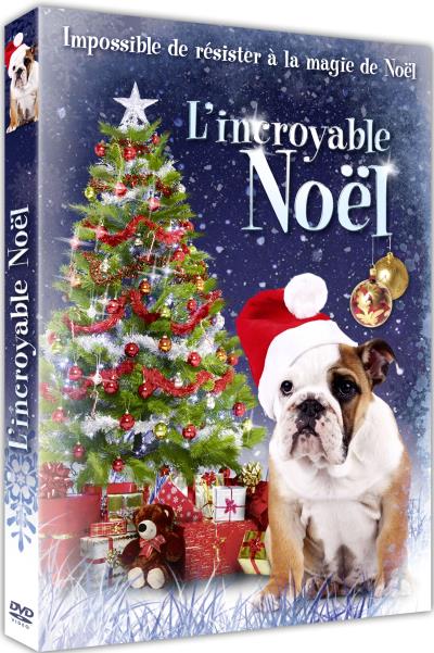 L'incroyable Noël DVD