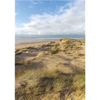 La Plage, une nature cachée