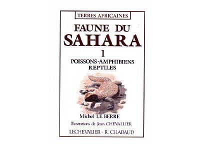 Faune du sahara poissons amphibiens reptiles