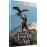 La jeune fille et son aigle Combo Blu-ray DVD_0