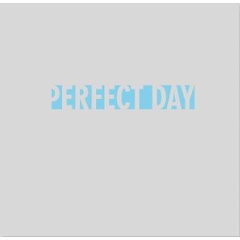 The Perfect Day