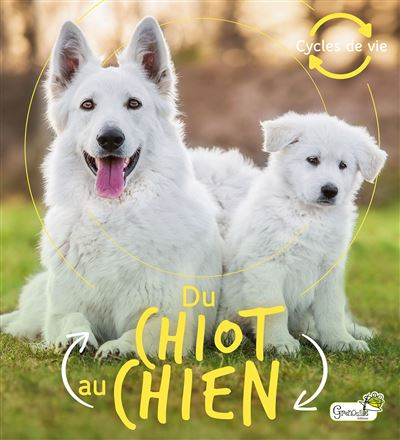 Du chiot au chien - Camilla De La Bedoyere - broché