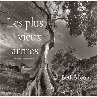 Les plus vieux arbres