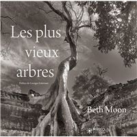 Les plus vieux arbres