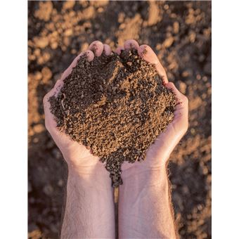 En route vers l'autosuffisance alimentaire !. Créez votre potager autonome