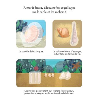 Les animaux de la mer