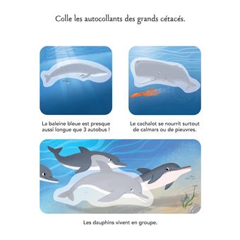 Les animaux de la mer