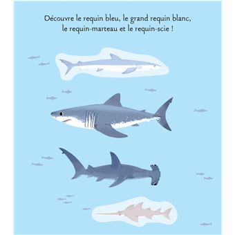 Les animaux de la mer
