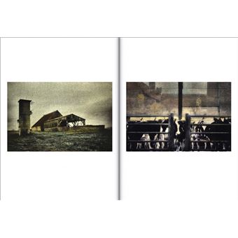 Irène Jonas Mémoires de campagne