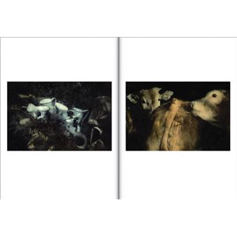 Irène Jonas Mémoires de campagne