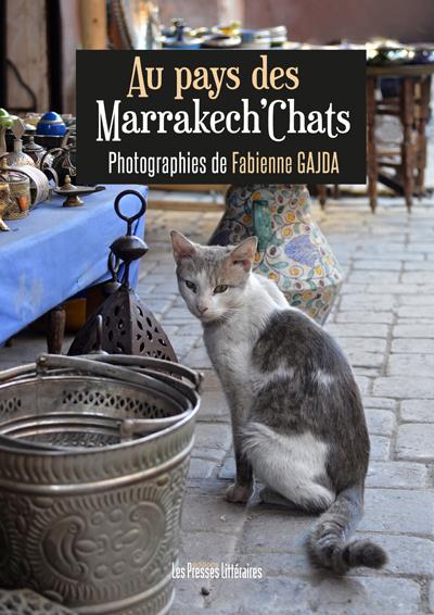 Au pays des Marrakech'Chats