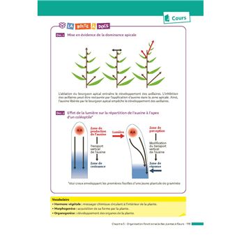 ABC BAC Réussite SVT Terminale