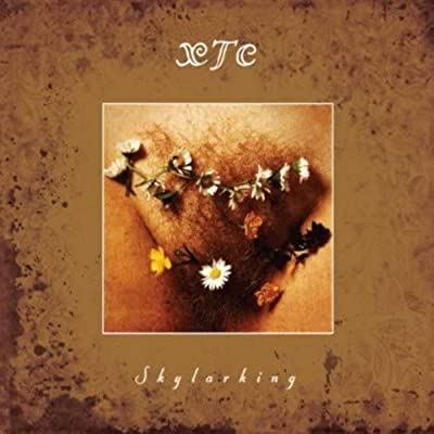Skylarking (Corrected Polarity Edition)