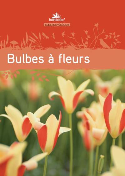 Bulbes à fleurs