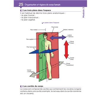Tout le DEAS en fiches mémos - IFAS - Diplôme Etat Aide-Soignant 5è ed - Nouveau référentiel 2021