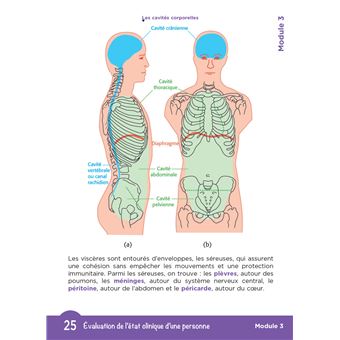 Tout le DEAS en fiches mémos - IFAS - Diplôme Etat Aide-Soignant 5è ed - Nouveau référentiel 2021